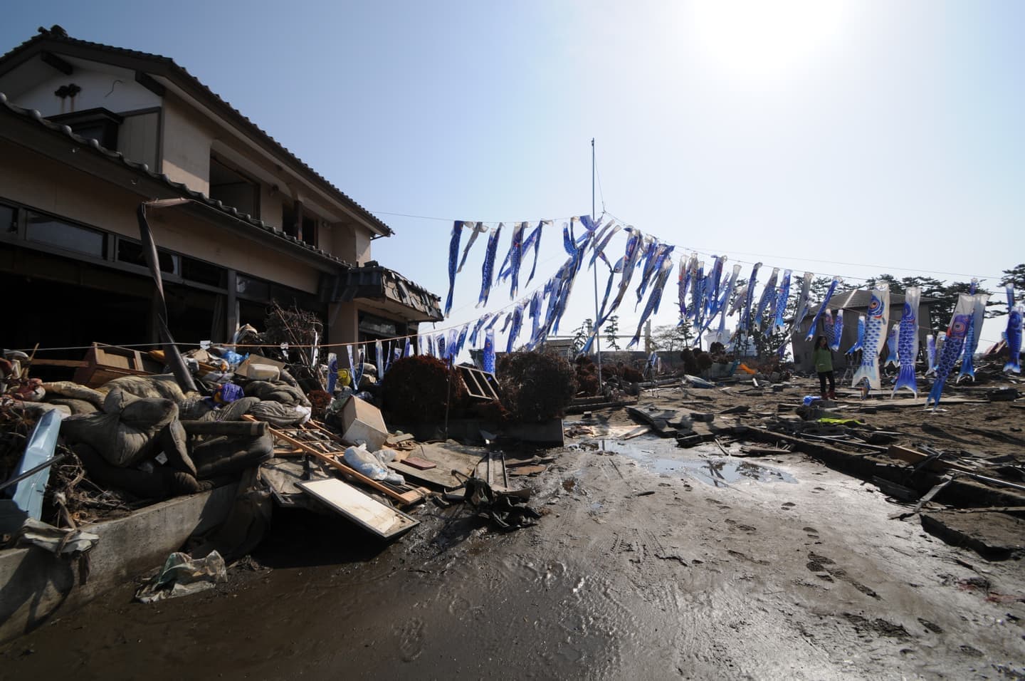 (45ー100)||pimpandhost imagesize:1440x956 21( "